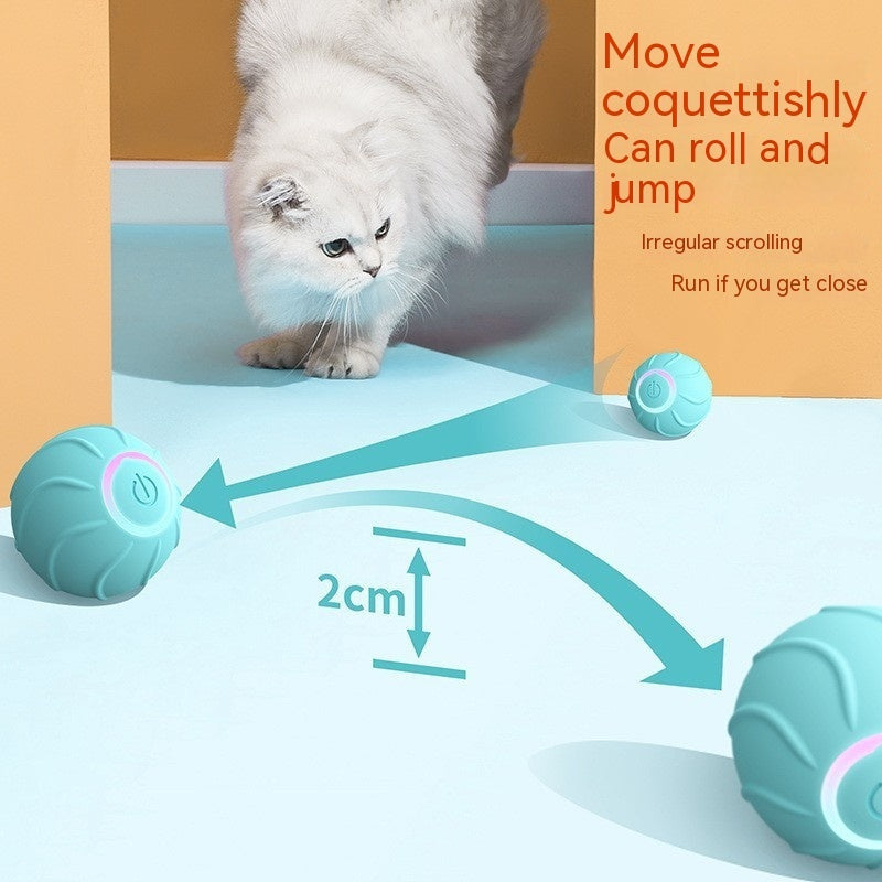 Smart Pet Toys Rolling Ball