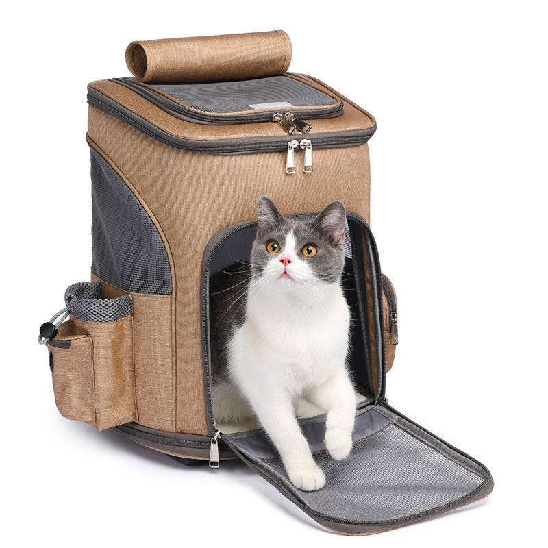 cat-inside-travel-backpack.jpg
