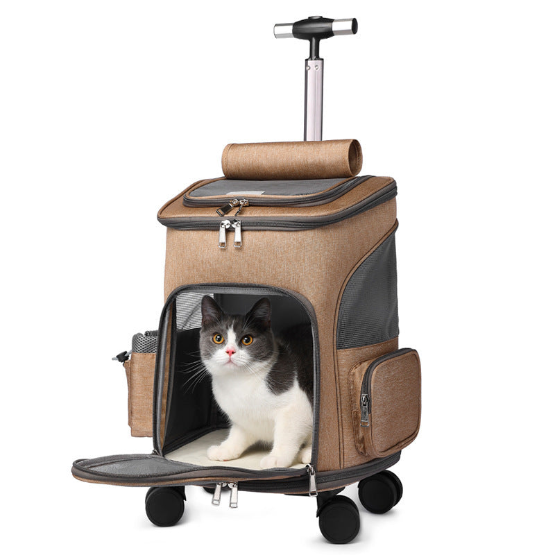 pet-backpack-on-wheels.jpg
