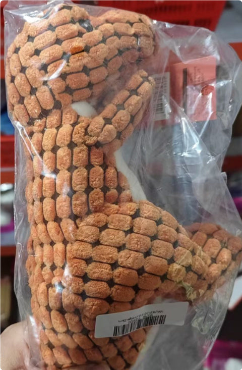 Portable Dinosaur Interactive Pet Toys