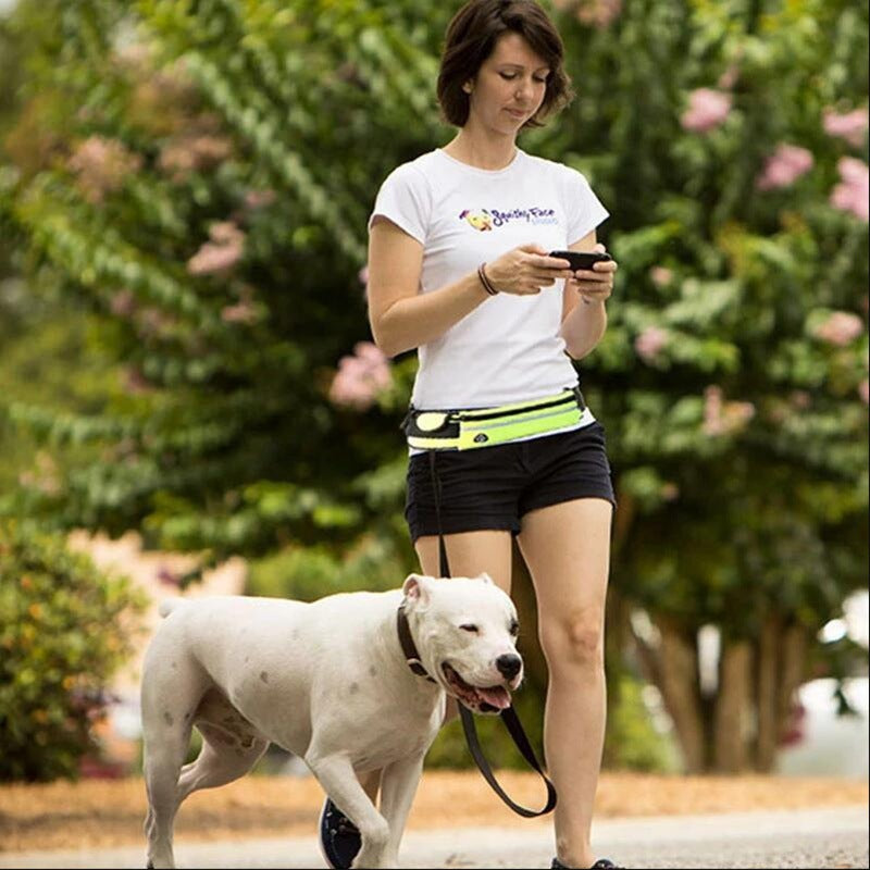 jogger-using-pet-training-belt-with-dog.jpg
