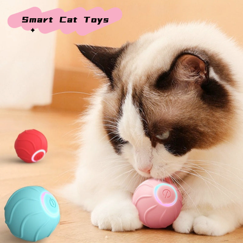 Smart Pet Toys Rolling Ball