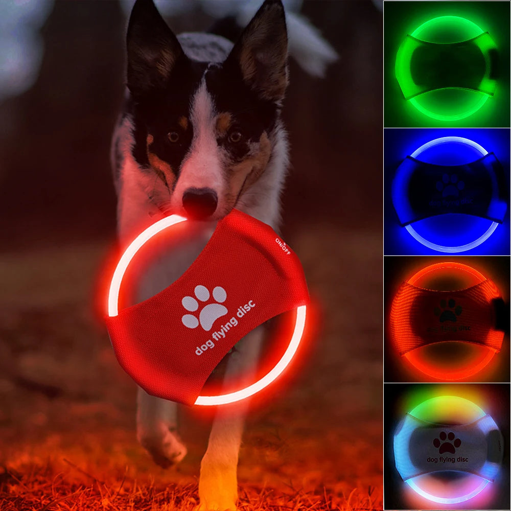 Glowing LED Luminous Trainning Disc Interactive Toys