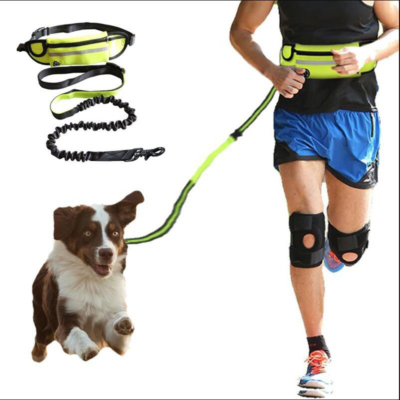 dog-owner-using-hands-free-leash-on-mountain-trail.jpg