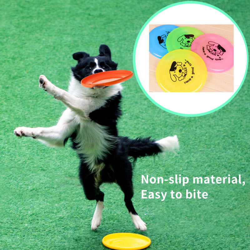 Training Interactive Pet Toy