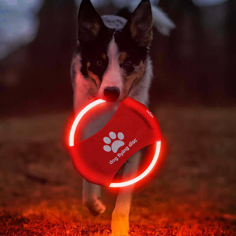 Glowing LED Luminous Trainning Disc Interactive Toys