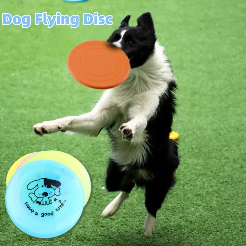 Training Interactive Pet Toy